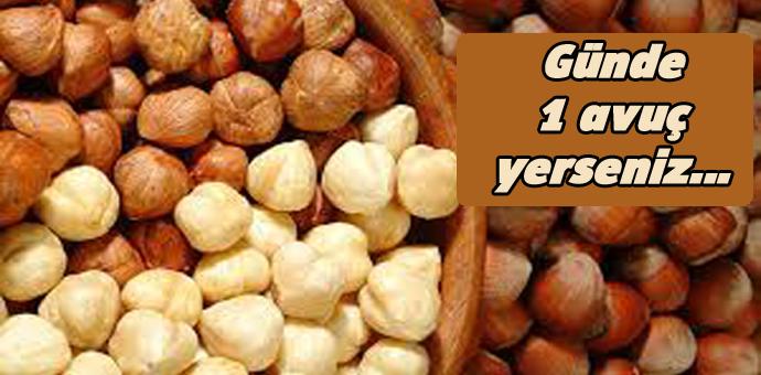 FINDIĞIN BİLİNMEYEN FAYDALARI FINDIĞIN BİLİNMEYEN FAYDALARI