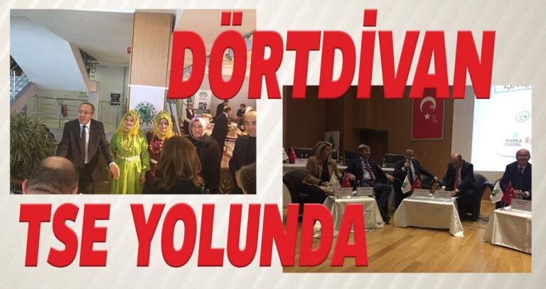 DÖRTDİVAN TSE YOLUNDA