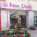 Bolu Çiçekçi Erva Çiçek