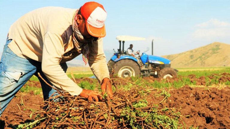 ÇKS’DE SON HAFTA