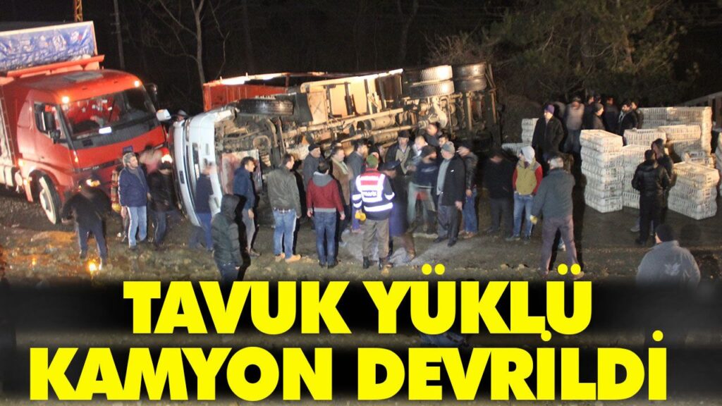 TAVUK YÜKLÜ KAMYON DEVRİLDİ TAVUK YÜKLÜ KAMYON DEVRİLDİ