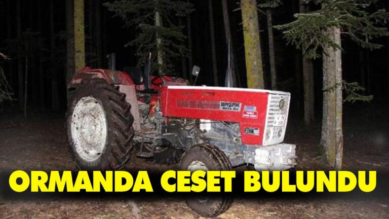 ORMANDA CESET BULUNDU