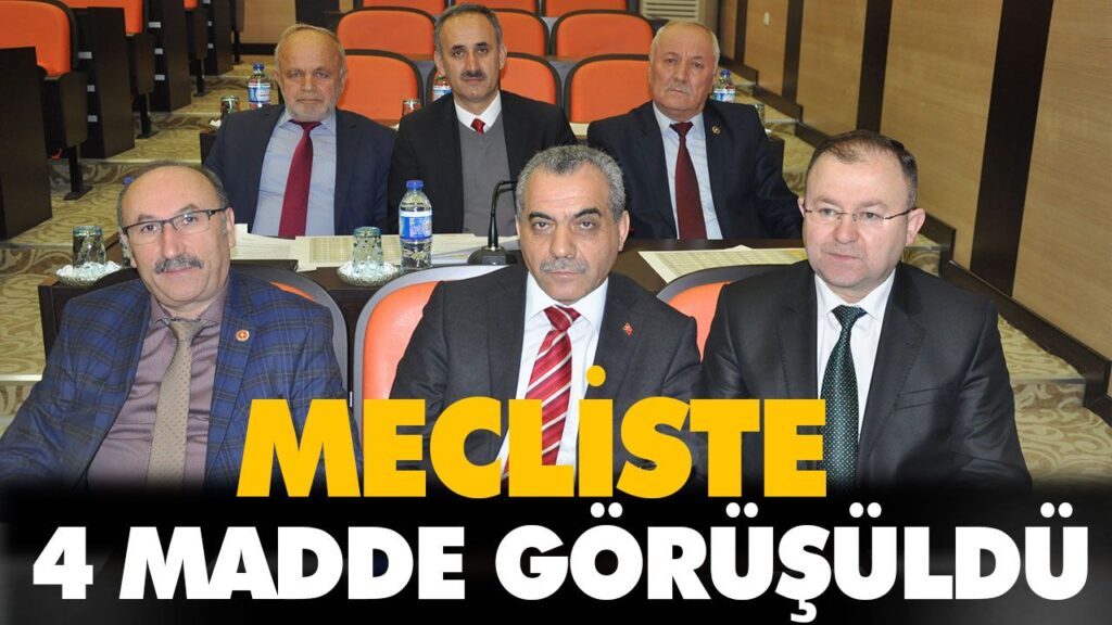 MECLİSTE 4 MADDE GÖRÜŞÜLDÜ
