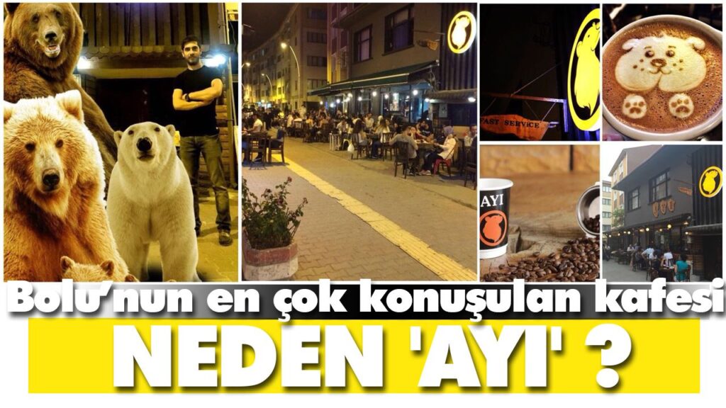 NEDEN ‘AYI’ ? NEDEN ‘AYI’ ?
