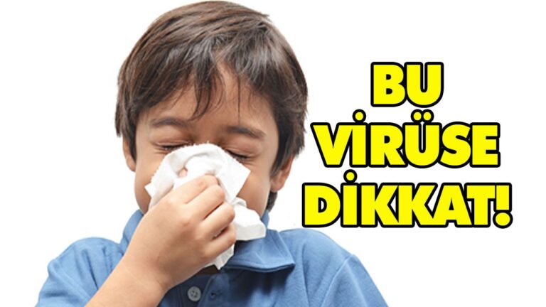 BU VİRÜSE DİKKAT!