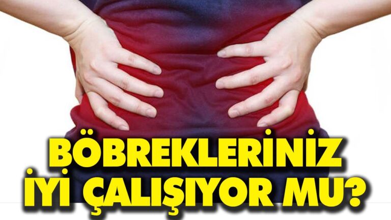 BÖBREKLERİNİZ DÜZGÜN ÇALIŞIYOR MU?