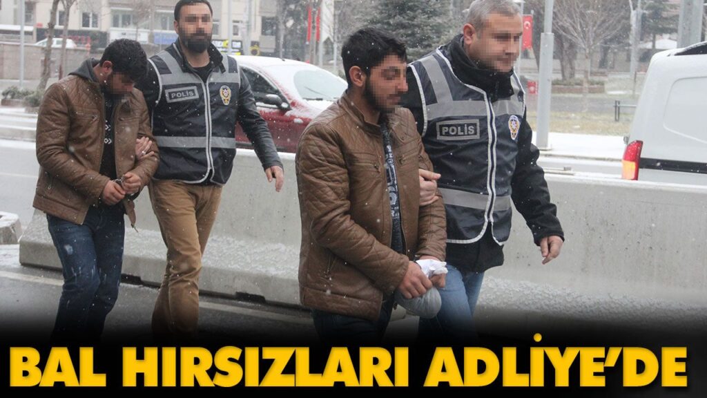 BAL HIRSIZLARI ADLİYE’DE BAL HIRSIZLARI ADLİYE’DE