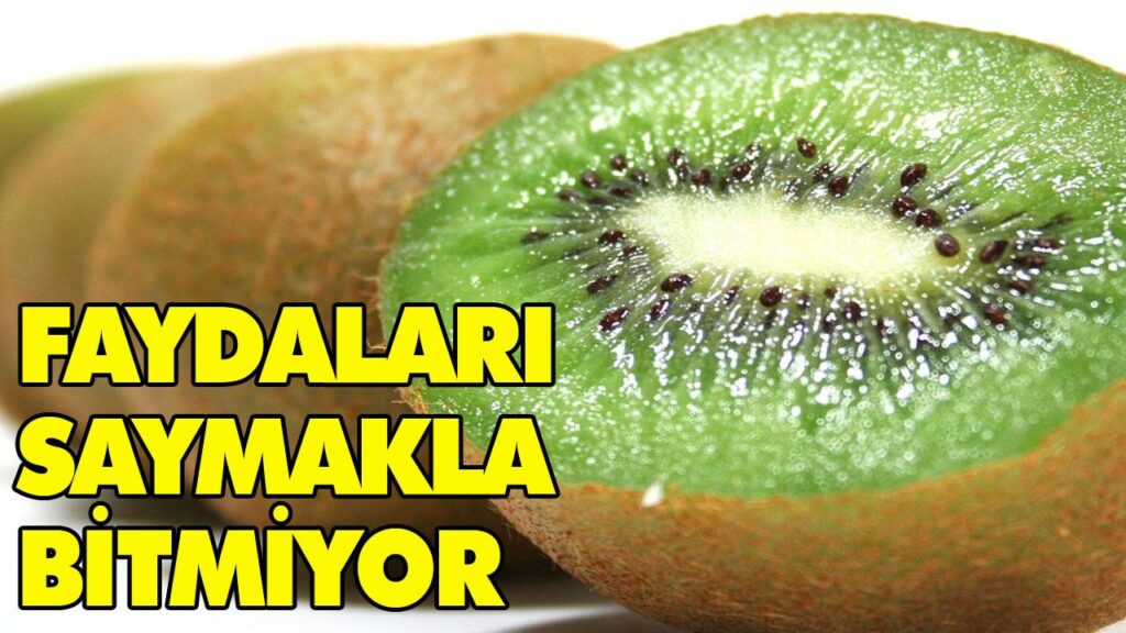 MUCİZE MEYVE KİVİ MUCİZE MEYVE KİVİ