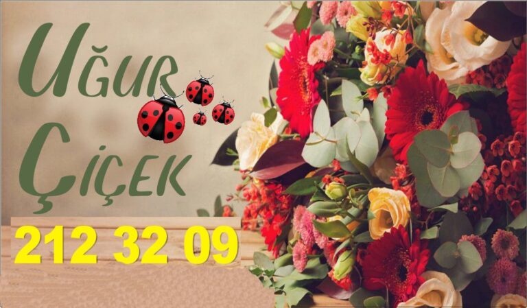 Uğur Çiçekçilik -BOLU