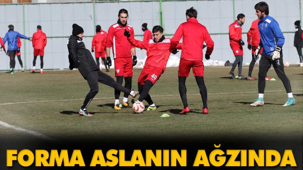 FORMA ASLANIN AĞZINDA FORMA ASLANIN AĞZINDA