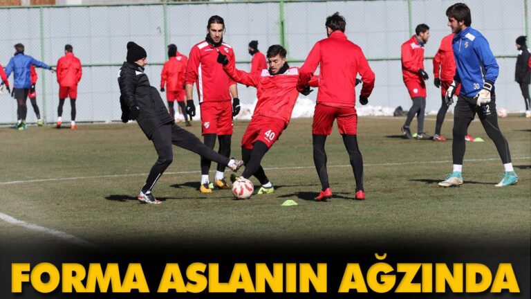 FORMA ASLANIN AĞZINDA