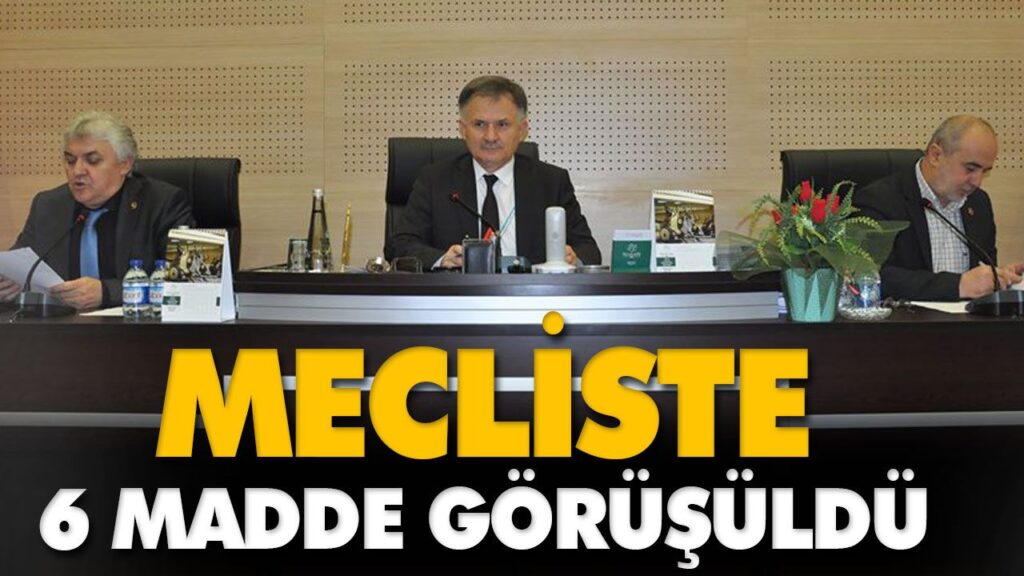 MECLİSTE 6 MADDE GÖRÜŞÜLDÜ