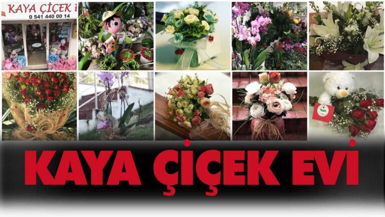 Kaya Çiçek Evi