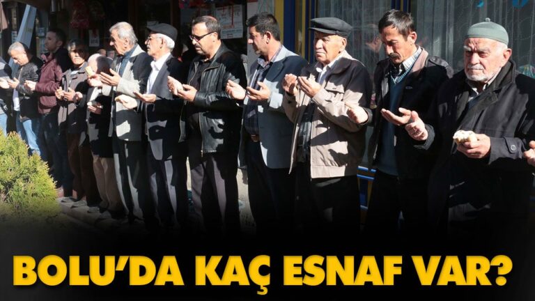 BOLU’DA KAÇ ESNAF VAR?