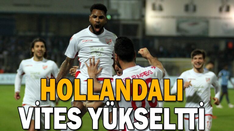 HOLLANDALI VİTES YÜKSELTTİ