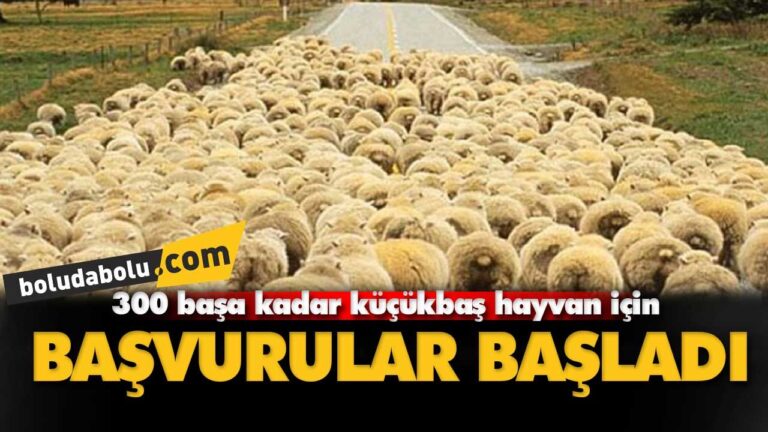 300 Koyun projesi başladı