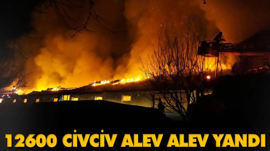 12600 CİVCİV ALEV ALEV YANDI 12600 CİVCİV ALEV ALEV YANDI