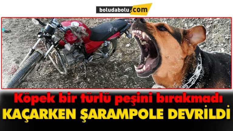 Köpekten kaçarken şarampole devrildi