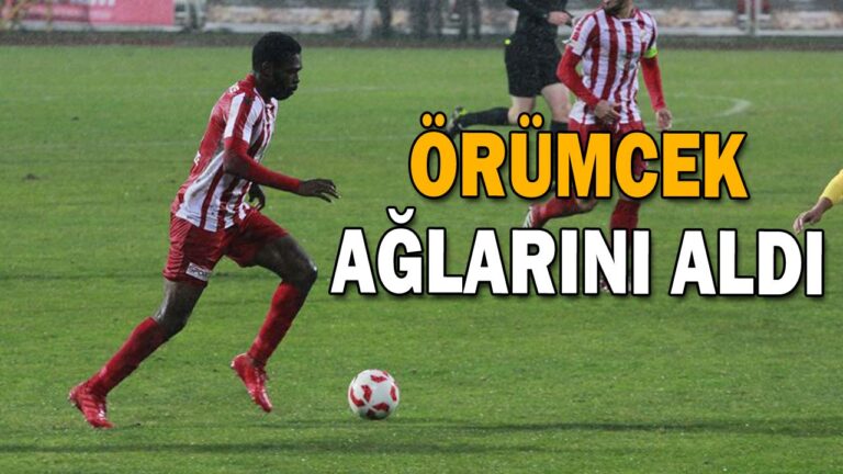 ÖRÜMCEK AĞLARINI ALDI
