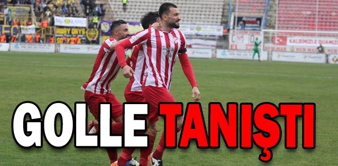 GOLLE TANIŞTI