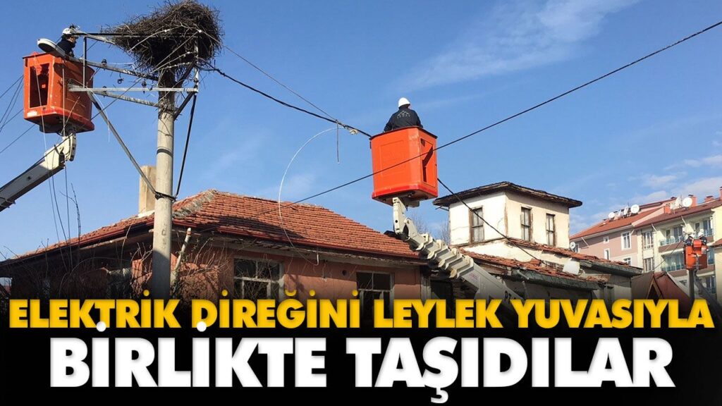 ELEKTRİK DİREĞİNİ LEYLEK YUVASIYLA BİRLİKTE TAŞIDI ELEKTRİK DİREĞİNİ LEYLEK YUVASIYLA BİRLİKTE TAŞIDI