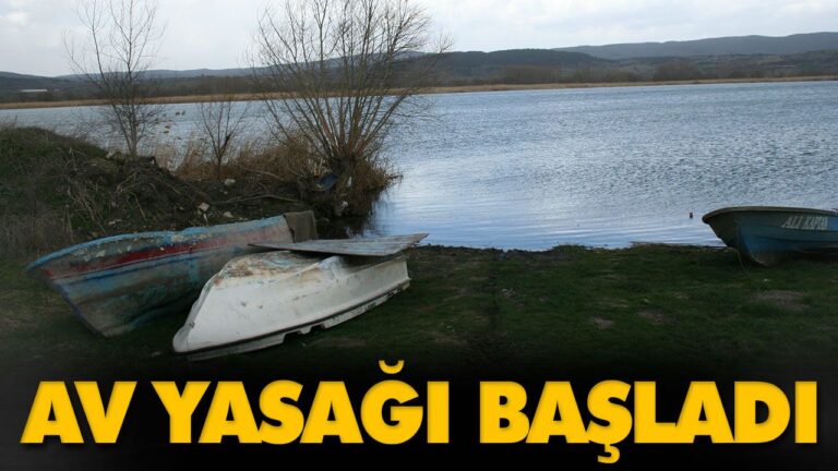 AV YASAĞI BAŞLADI