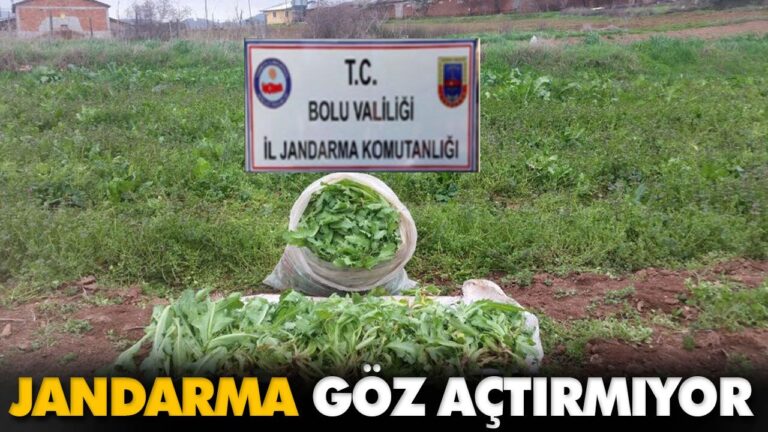 JANDARMA GÖZ AÇTIRMIYOR