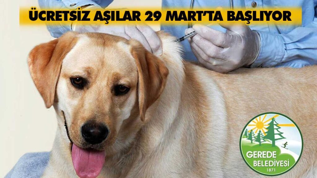 GEREDE BELEDİYESİ GEREDE BELEDİYESİ