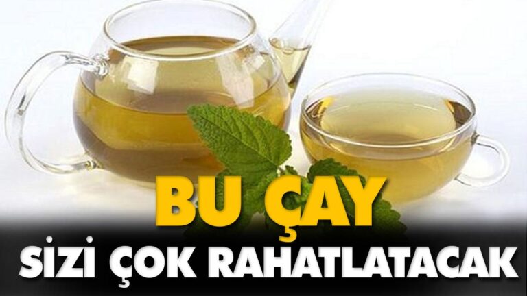 MELİSA ÇAYININ FAYDALARI