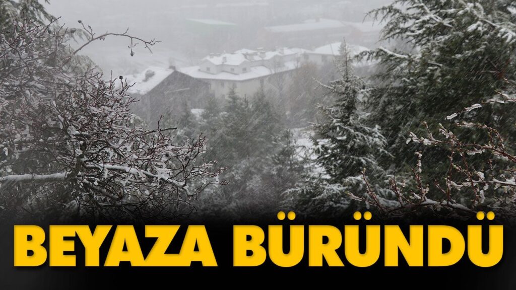 BEYAZA BÜRÜNDÜ BEYAZA BÜRÜNDÜ