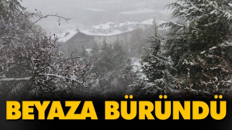 BEYAZA BÜRÜNDÜ