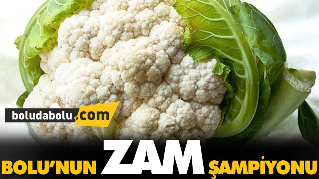 BOLU’NUN ZAM ŞAMPİYONU BOLU’NUN ZAM ŞAMPİYONU