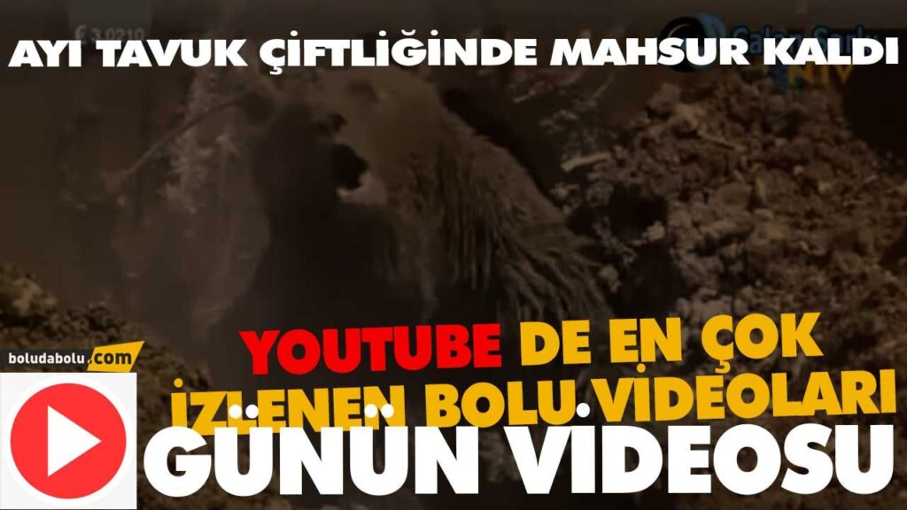 AYI TAVUK ÇİFTLİĞİNDE MAHSUR KALDI AYI TAVUK ÇİFTLİĞİNDE MAHSUR KALDI