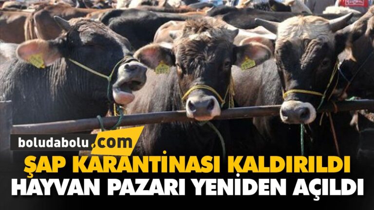 ŞAP KARANTİNASI KALDIRILDI
