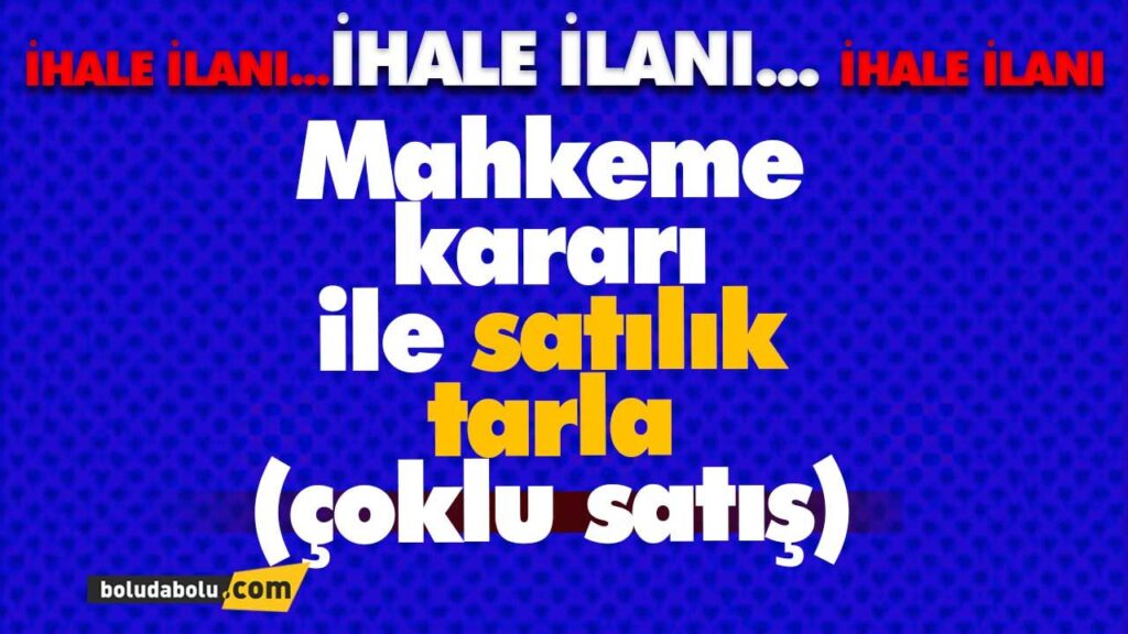 Mahkeme kararı ile satılık tarla | BOLU