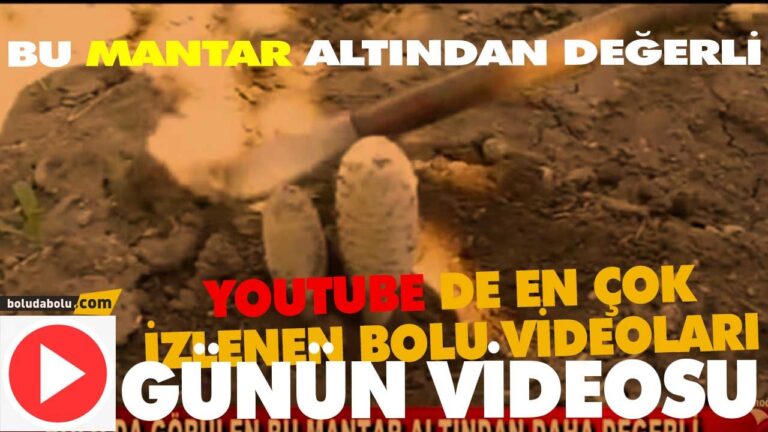 BU MANTAR ALTINDAN DEĞERLİ