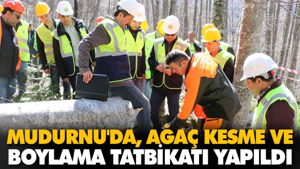 MUDURNU’DA, AĞAÇ KESME VE BOYLAMA TATBİKATI YAPILD MUDURNU’DA, AĞAÇ KESME VE BOYLAMA TATBİKATI YAPILD