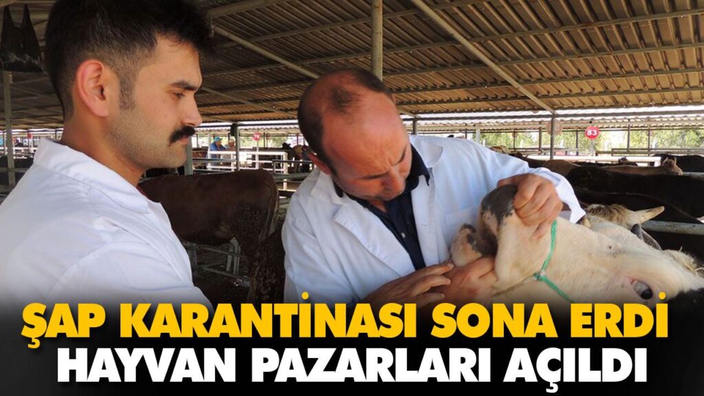ŞAP KARANTİNASI SONA ERDİ ŞAP KARANTİNASI SONA ERDİ