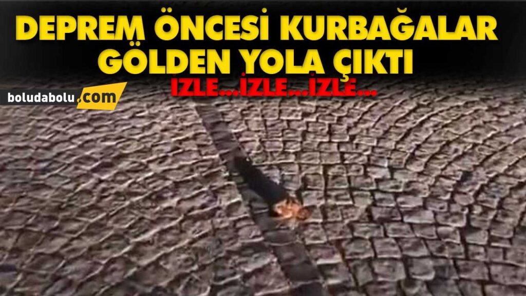 KURBAĞALAR DEPREMİN HABERCİSİ Mİ? KURBAĞALAR DEPREMİN HABERCİSİ Mİ?