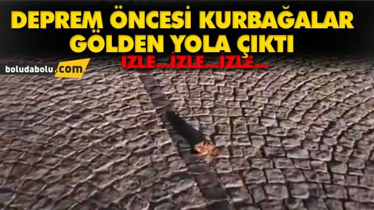 KURBAĞALAR DEPREMİN HABERCİSİ Mİ?