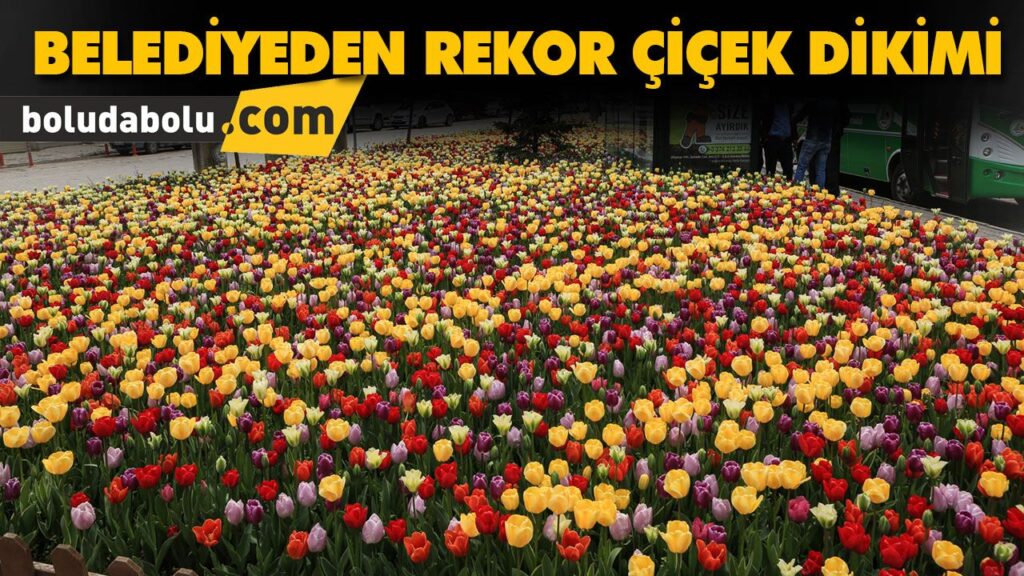 BELEDİYEDEN REKOR ÇİÇEK DİKİMİ BELEDİYEDEN REKOR ÇİÇEK DİKİMİ