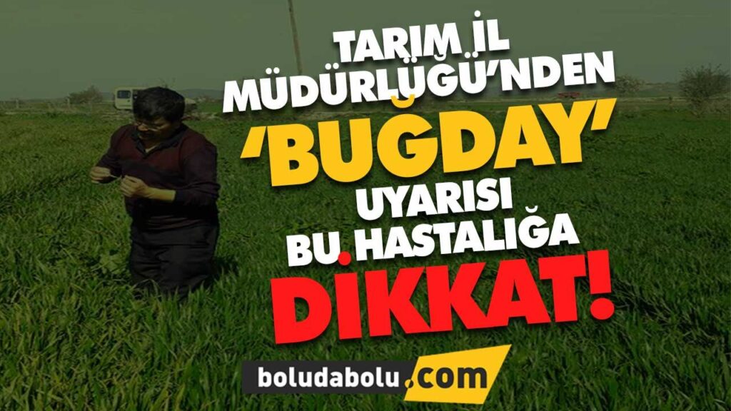 BUĞDAY’DA SEPTORYA HASTALIĞI