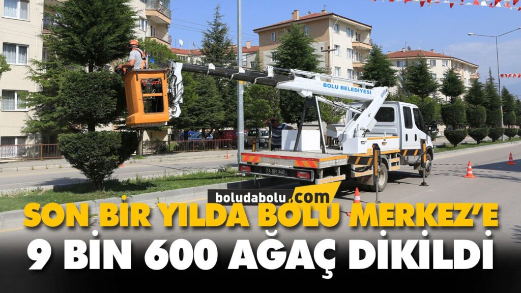 SON BİR YILDA BOLU MERKEZ’E 9 BİN 600 AĞAÇ DİKİLDİ SON BİR YILDA BOLU MERKEZ’E 9 BİN 600 AĞAÇ DİKİLDİ