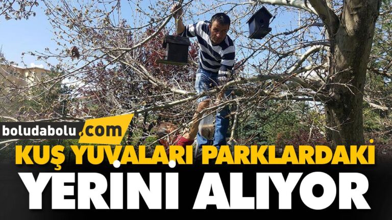 KUŞ YUVALARI PARKLARDAKİ YERİNİ ALIYOR