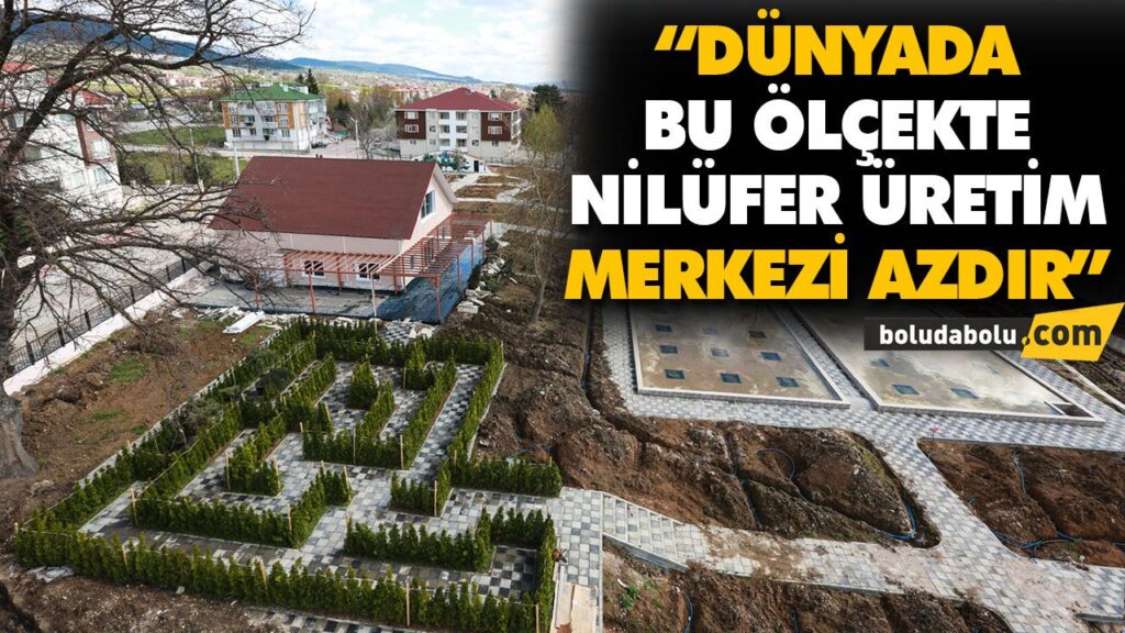 “DÜNYADA BU ÖLÇEKTE NİLÜFER ÜRETİM MERKEZİ AZDIR” “DÜNYADA BU ÖLÇEKTE NİLÜFER ÜRETİM MERKEZİ AZDIR”