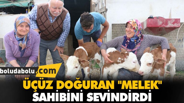 ÜÇÜZ DOĞURAN “MELEK” SAHİBİNİ SEVİNDİRDİ
