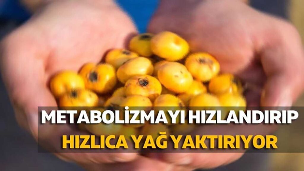 YAĞ YAKMAYA YARDIMCI OLAN YİYECEKLER YAĞ YAKMAYA YARDIMCI OLAN YİYECEKLER
