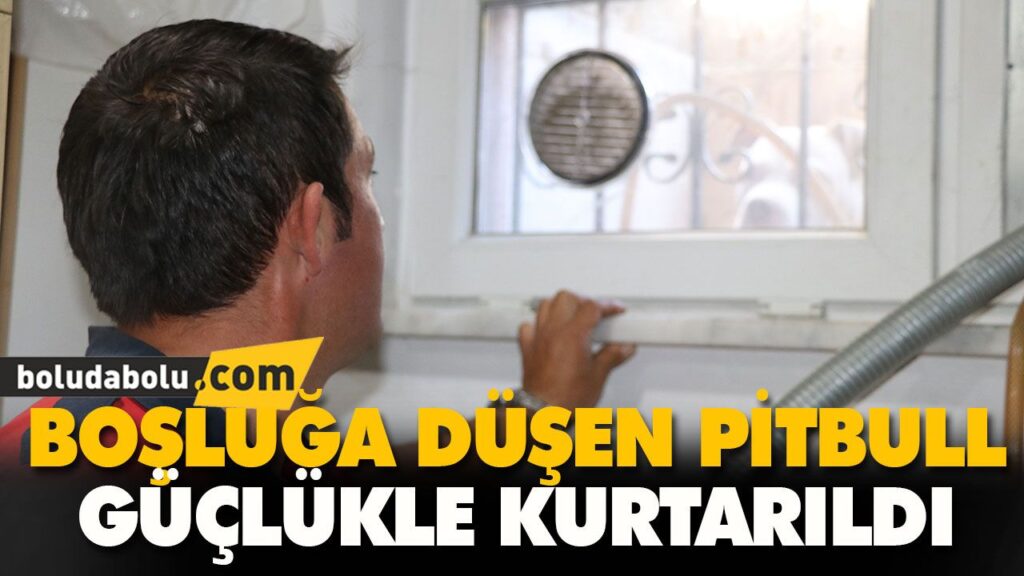 BOŞLUĞA DÜŞEN PİTBULL GÜÇLÜKLE KURTARILDI BOŞLUĞA DÜŞEN PİTBULL GÜÇLÜKLE KURTARILDI