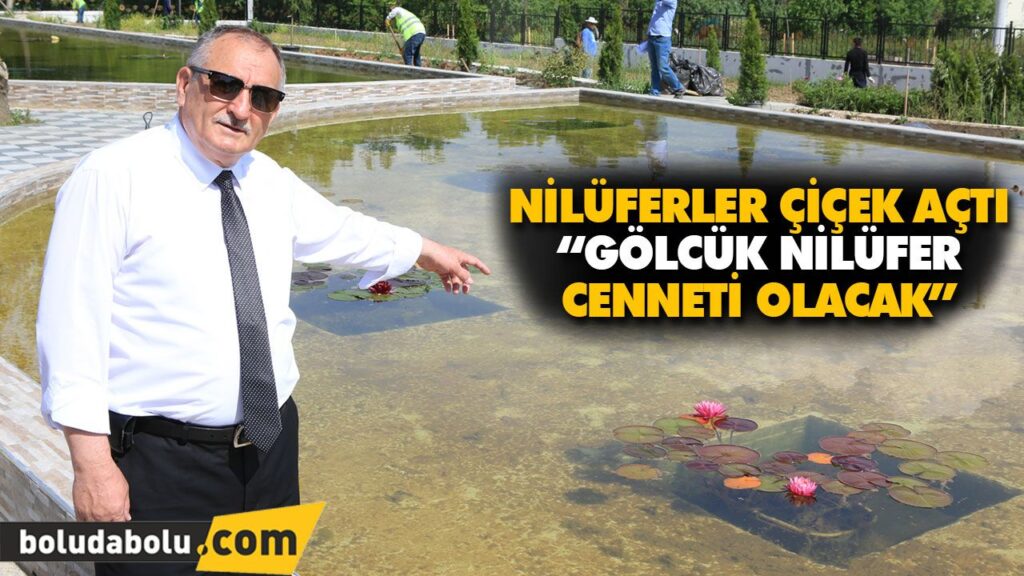“GÖLCÜK NİLÜFER CENNETİ OLACAK”