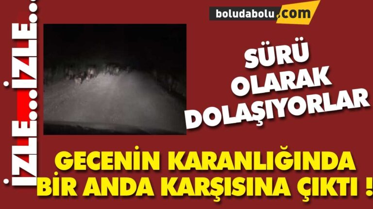 BOLU AT YAYLASINDA GÖRÜNTÜLENDİ